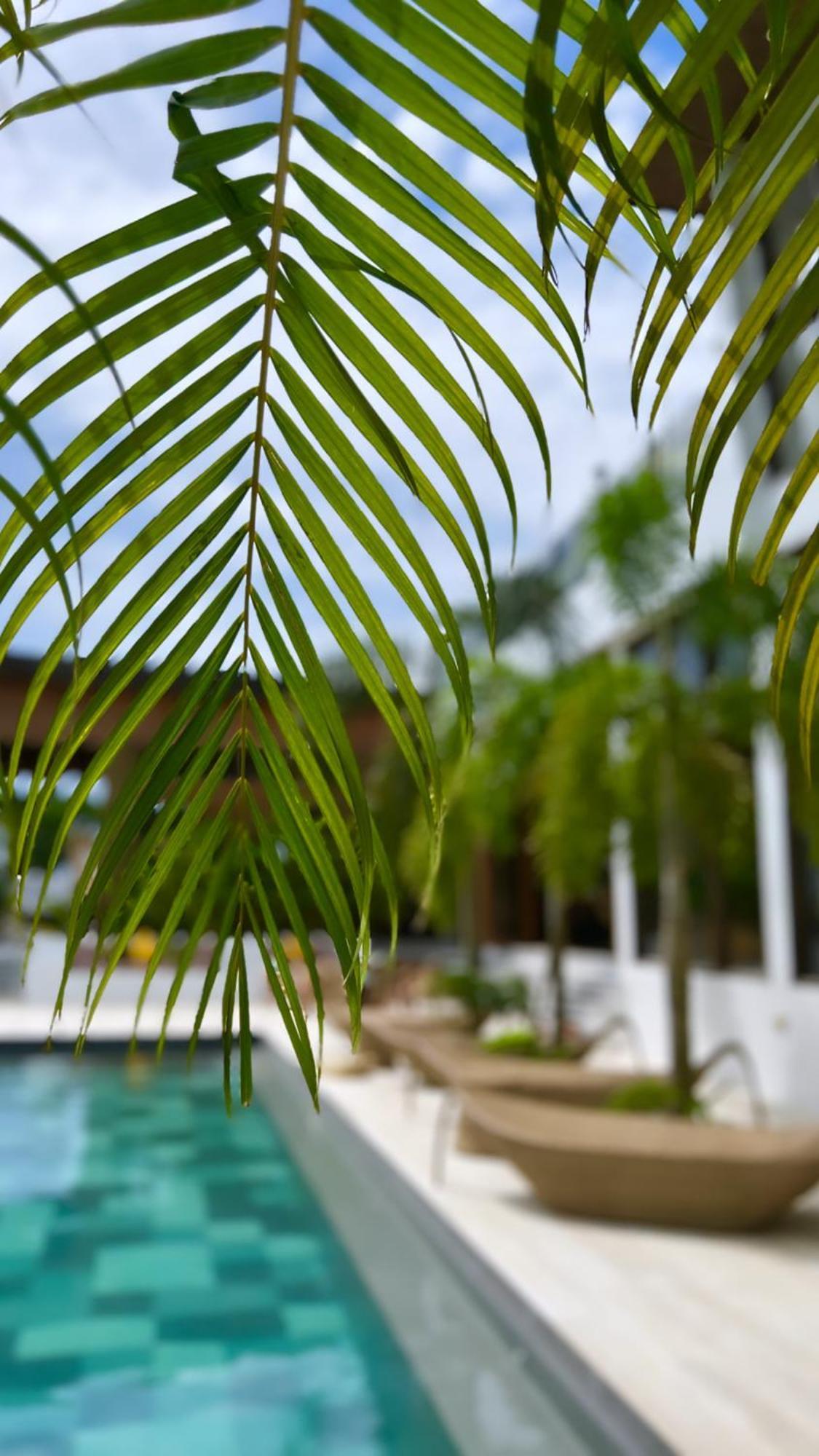 Ahana Resort Эль-Нидо Экстерьер фото